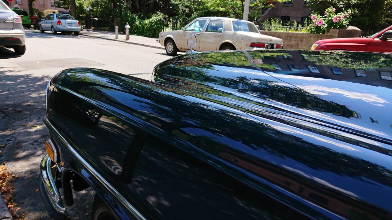 Plenty of color and focus in this one. The rich dark blue color of the car is balanced nicely with the highlights. However, zooming in reveals tons of processing blur and artifacts surrounding the subject.