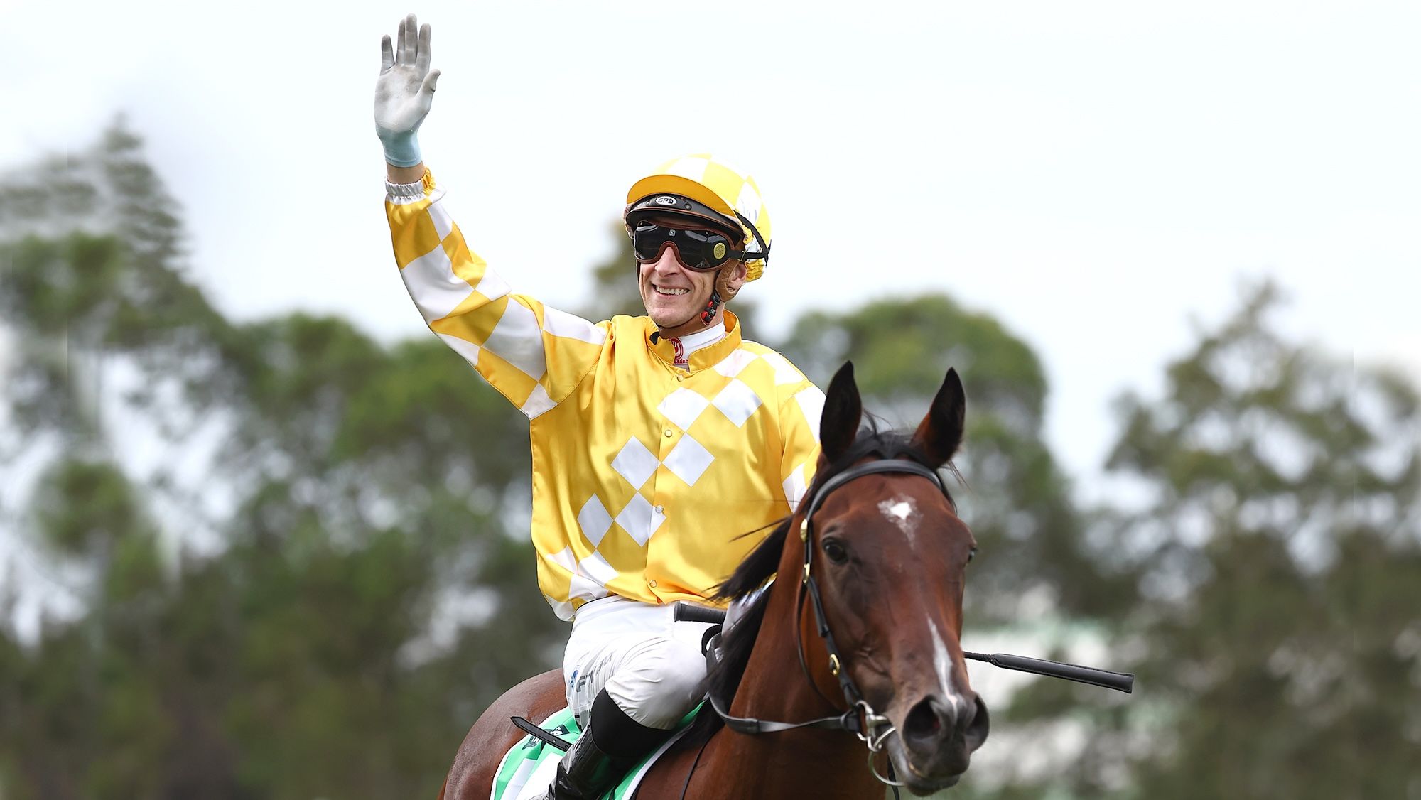 Lady Of Camelot Retired Following A Freak Stingray Attack Injury