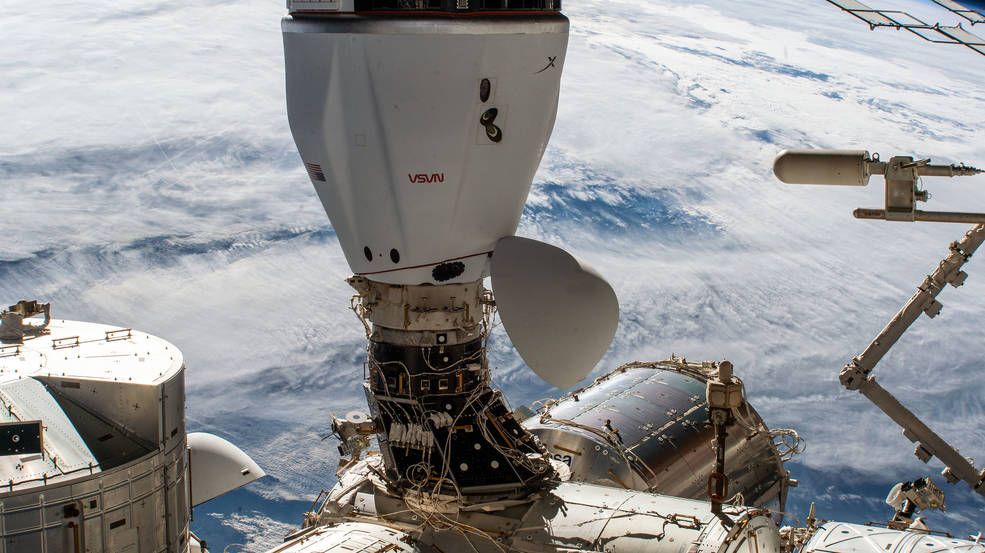 A SpaceX Dragon cargo ship will depart space station today with a 'cytoskeleton'..