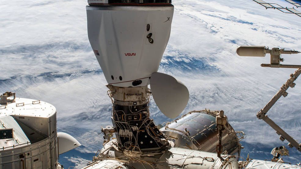 The SpaceX Dragon CRS-24 cargo ship will undock from the International Space Station&#039;s space-facing docking port on the Harmony module on Jan. 22, 2021.