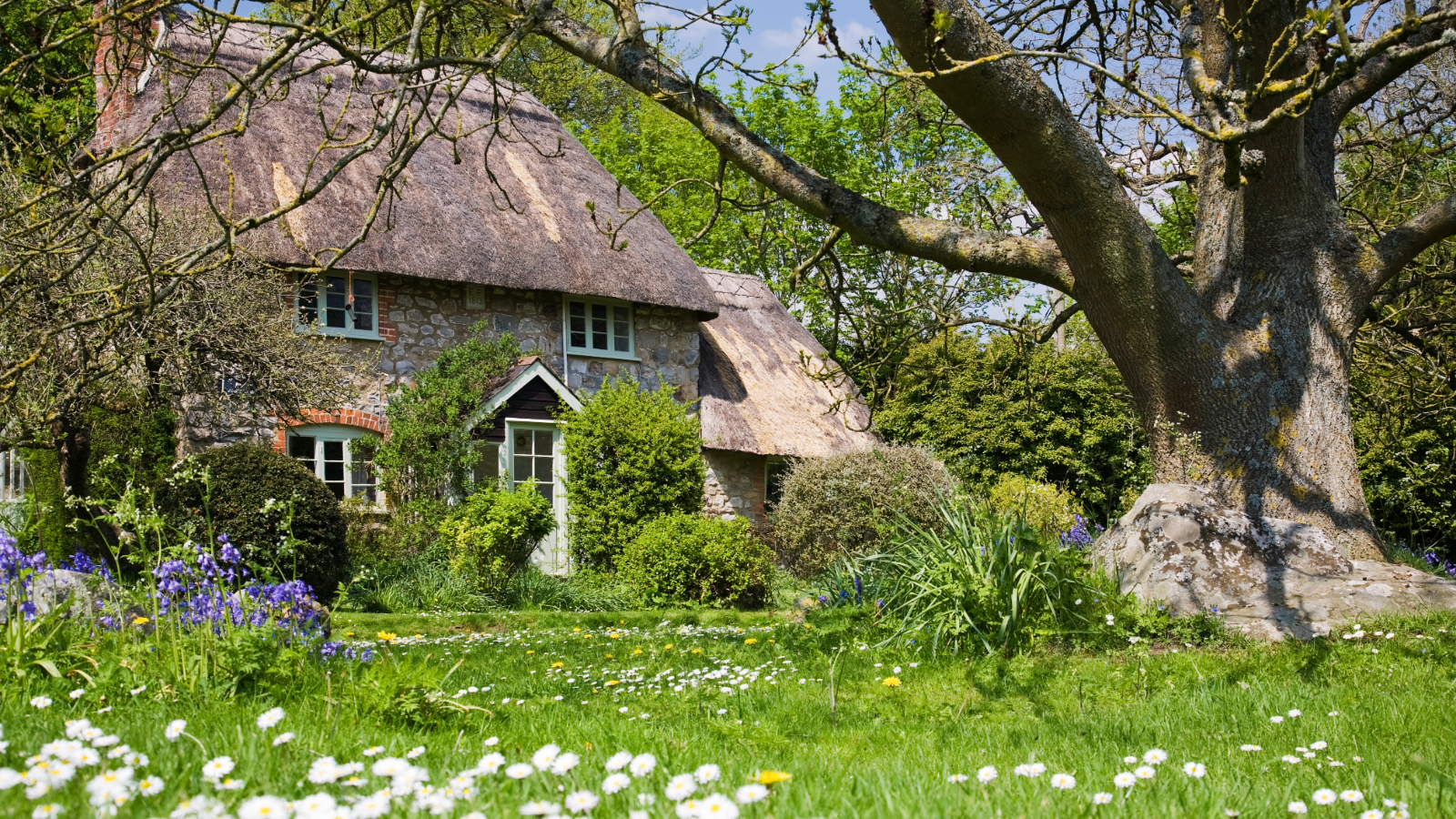 Exterior of thatched house with flower garden and tree in front of it