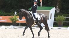 Regine-Mispelkamp-grade-V-cropped.jpg