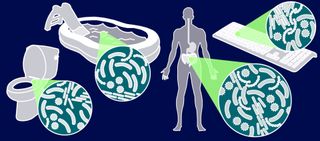 Investigations like RR-7 on the International Space Station hope to better understand how spaceflight affects the microbes, or microscopic organisms like bacteria, living in and on our bodies. Since microbes are directly linked to human health this will be important for future crewed missions.