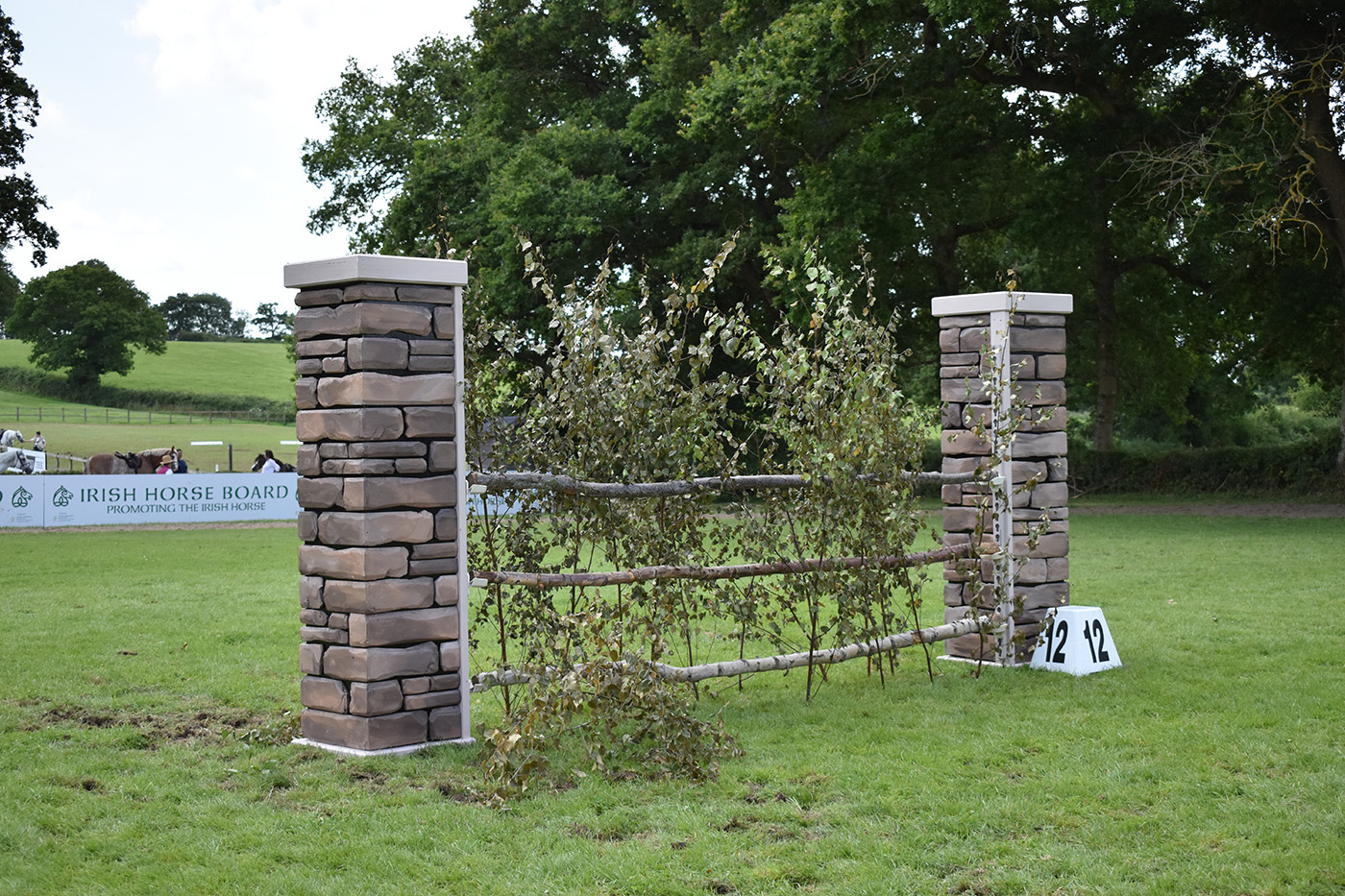 DSC_0664