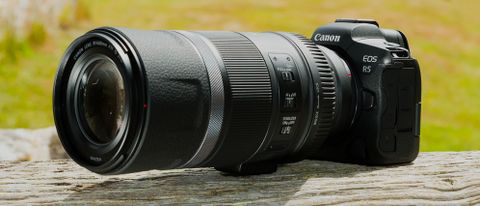 Canon EOS R5 balances well with long lenses