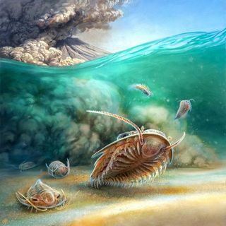 Reconstrução artística de duas espécies de trilobitas um instante antes do sepultamento em um fluxo de cinzas vulcânicas há 510 milhões de anos.
