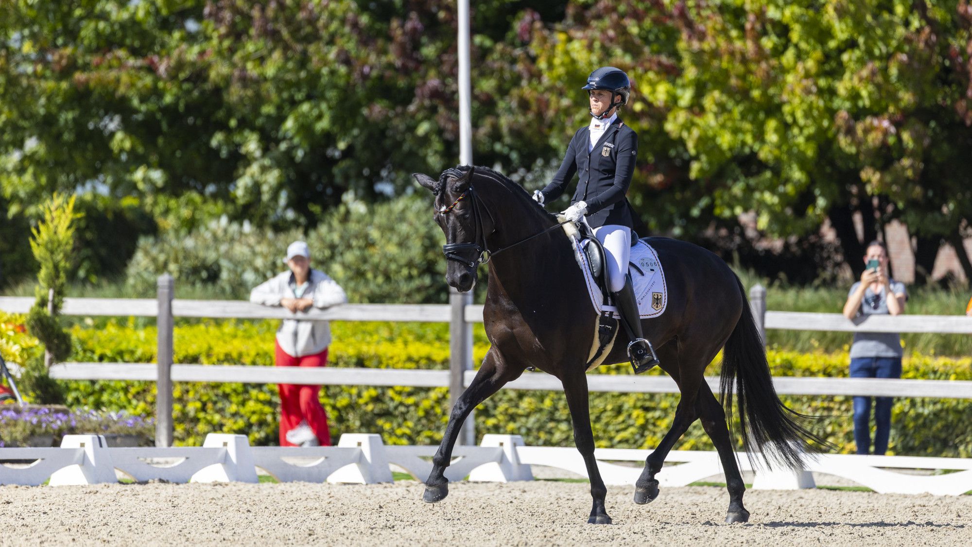 Euro Equestrian Rider Hat-trick of golds for rider at European Para Dressage Championships ...