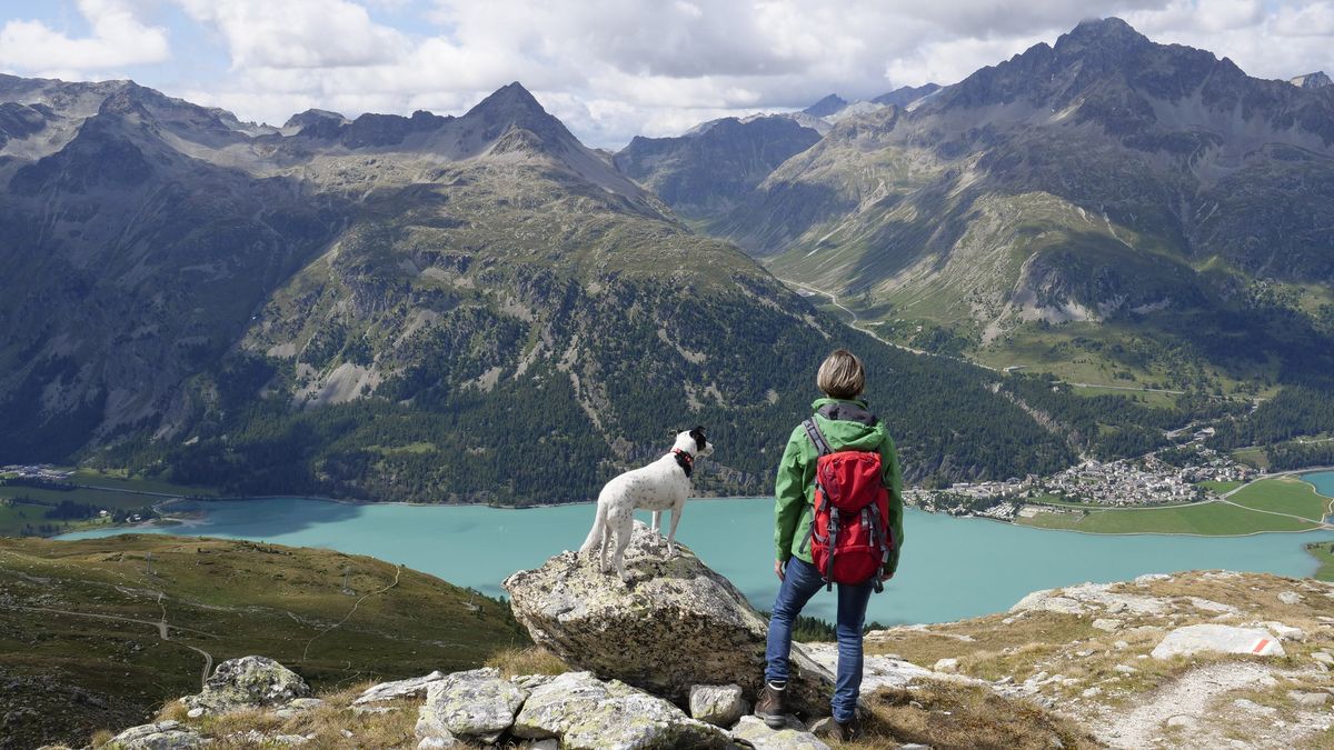 hiking with a dog