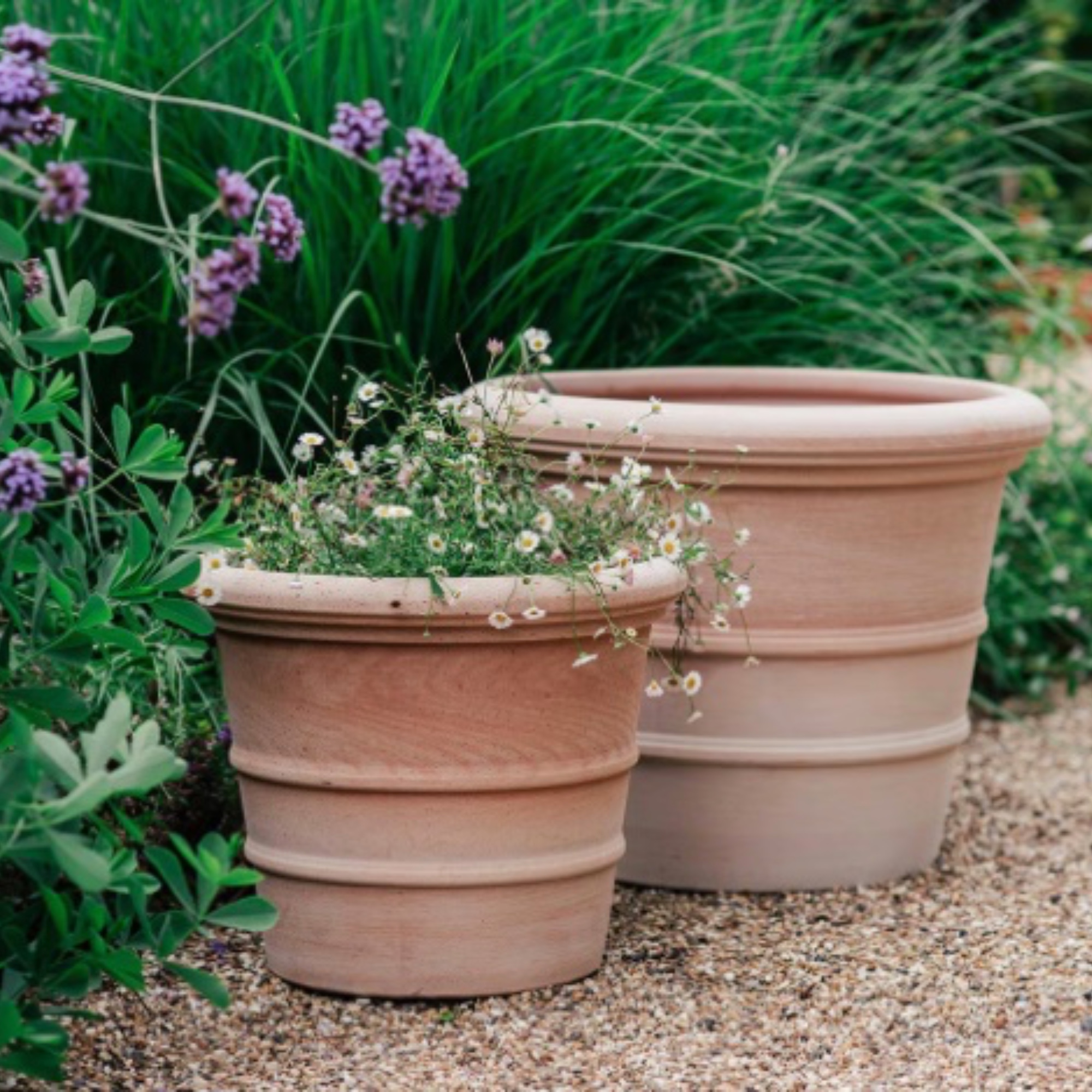 Siena Ribbed Italian Terracotta Pot