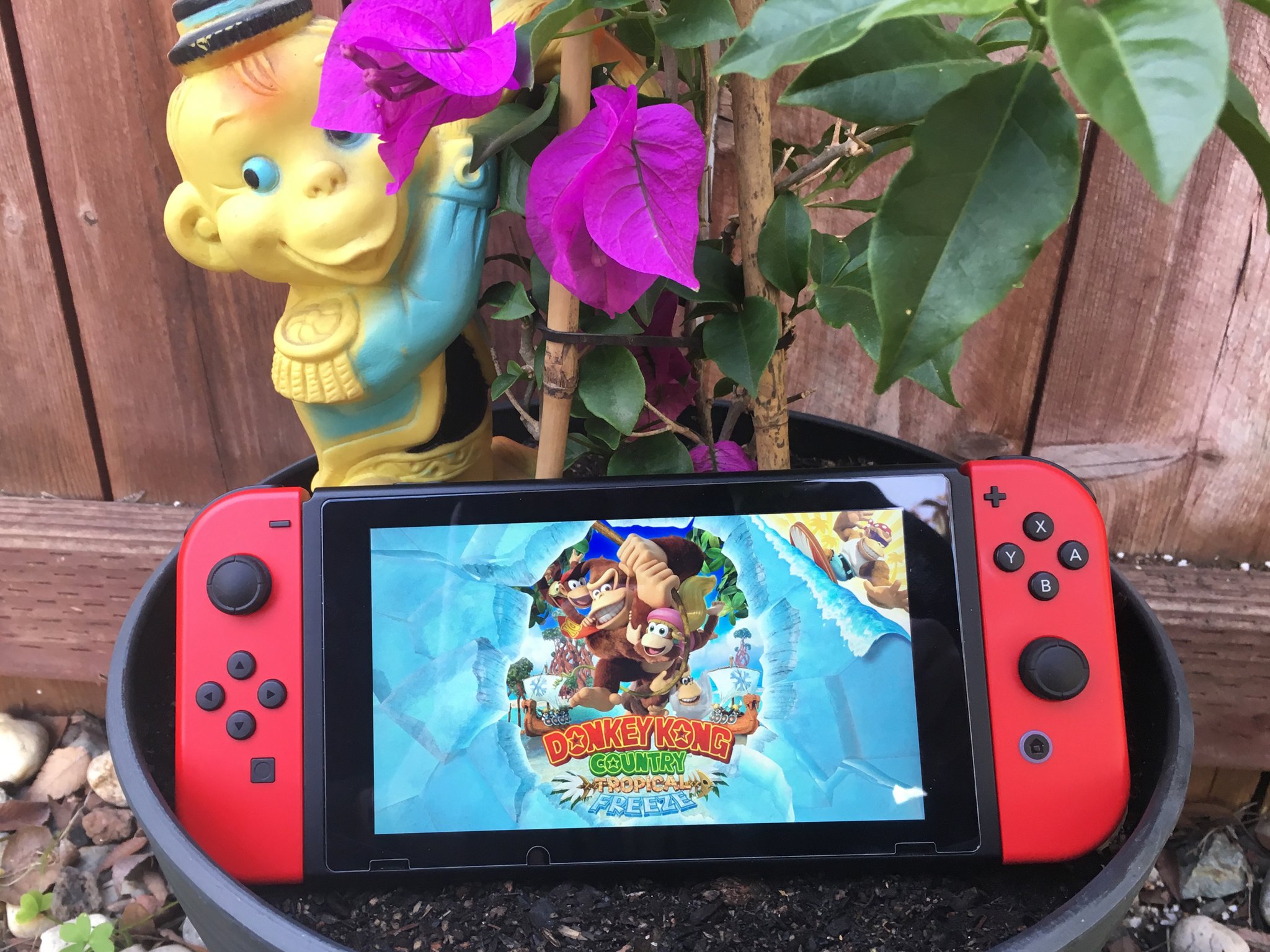 Donkey Kong Country: Tropical Freeze Nintendo Switch Lite Gameplay