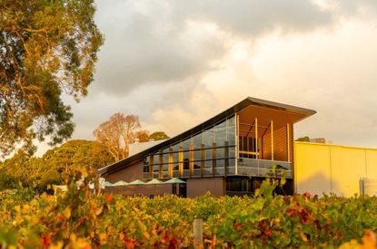 Australian Syrah