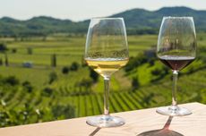 Glass of red and white wine against vineyard landscape