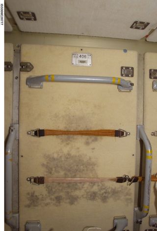 Mold growing on the International Space Station.