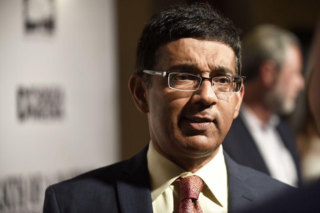 Dinesh D'Souza tried to use his time behind bars to bolster Epstein ...