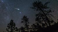 A meteor is photographed streaking through a starry sky above the silhouettes of trees