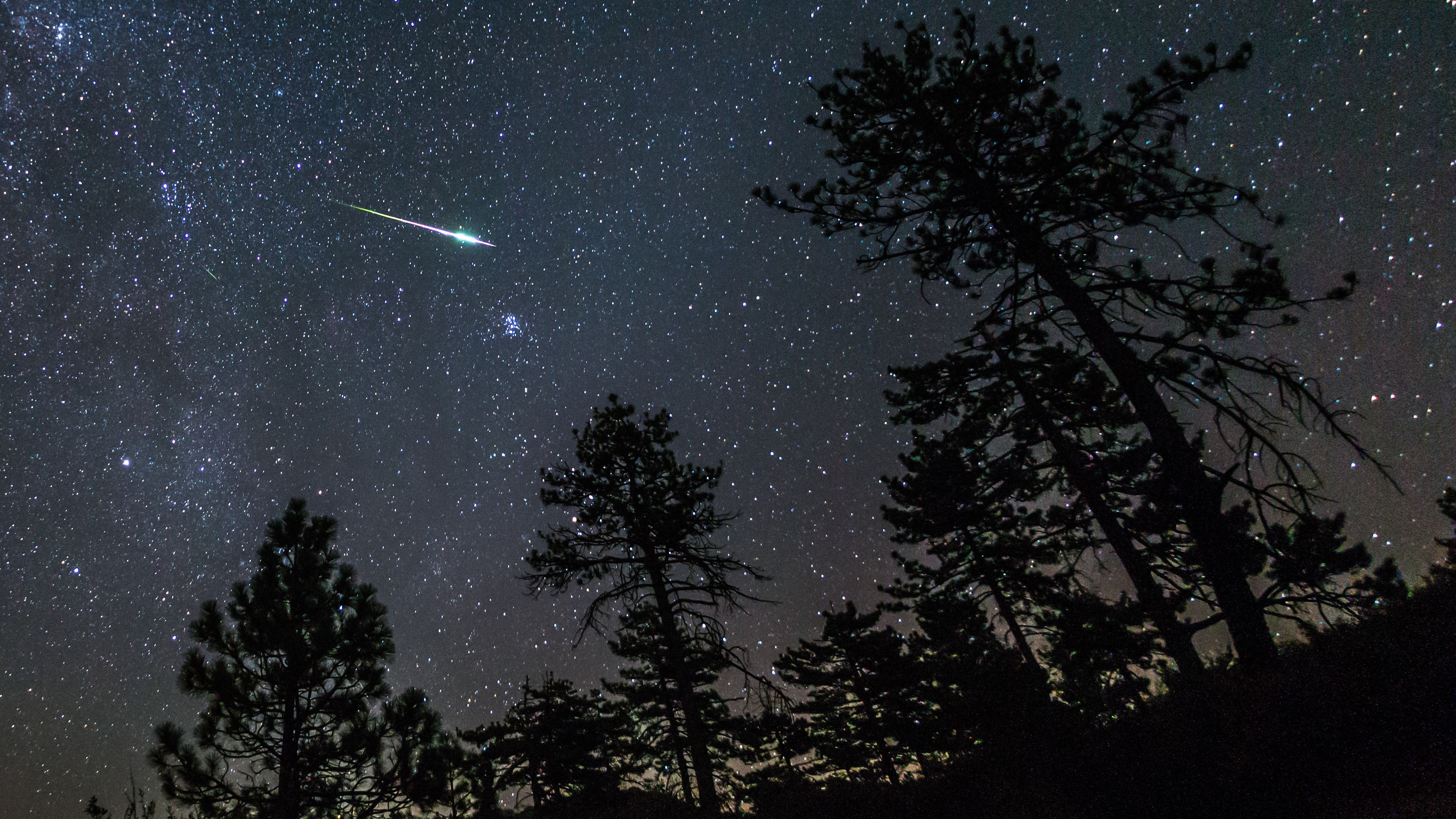 A meteor is photographed streaking through a starry sky above the silhouettes of trees