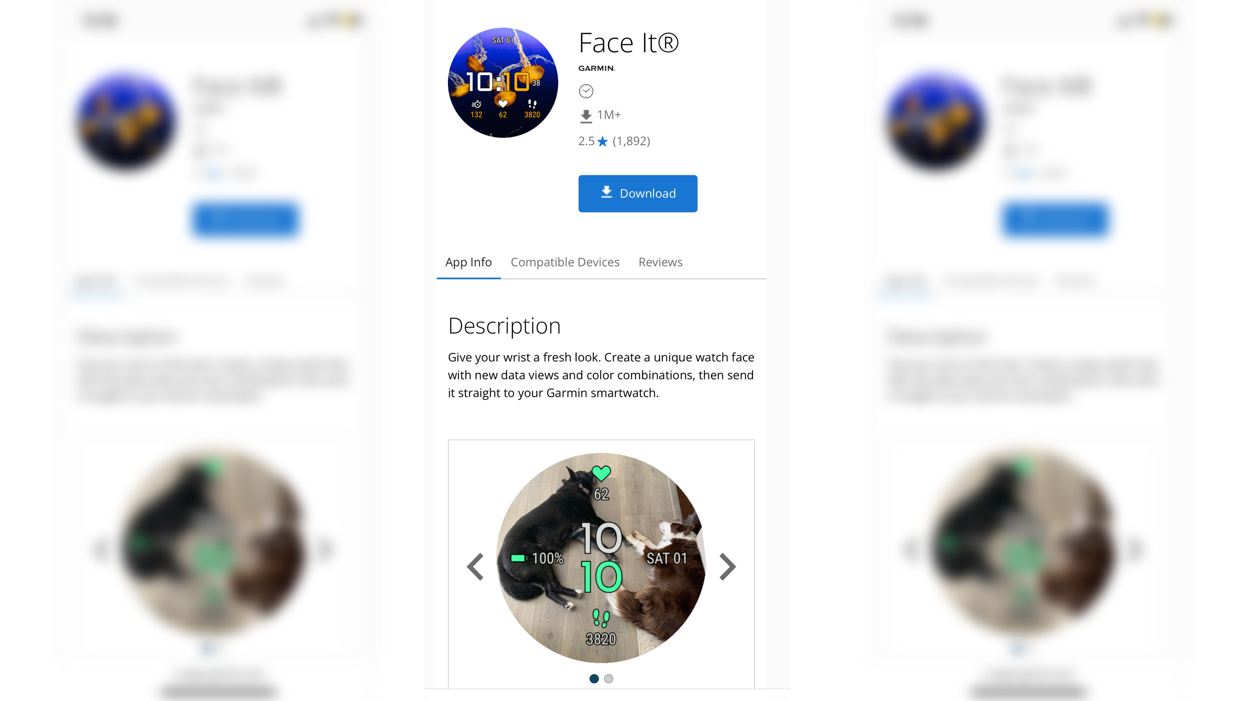 Connect IQ store
