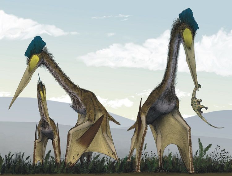 An artist&#039;s illustration of the Azhdarchid pterosaur species Quetzalcoatlus northropi