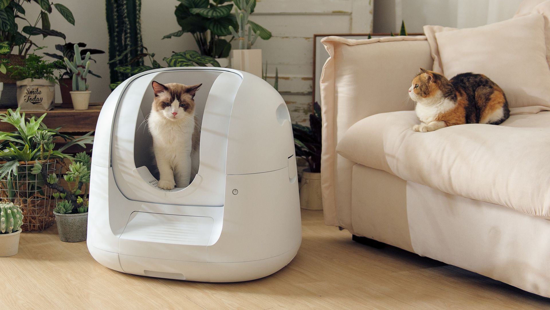 This Ai Litter Tray Analyzes Your Cat S Health And Uses Nasa Tech To Clean Itself Techradar