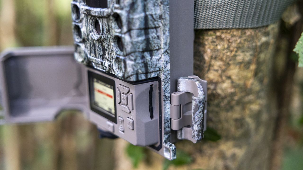 The Bushnell Core S-4K No Glow trail camera mounted on a woodland tree