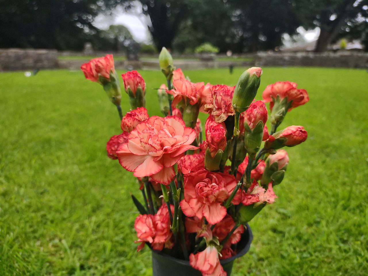 Moto G 5G Plus camera sample