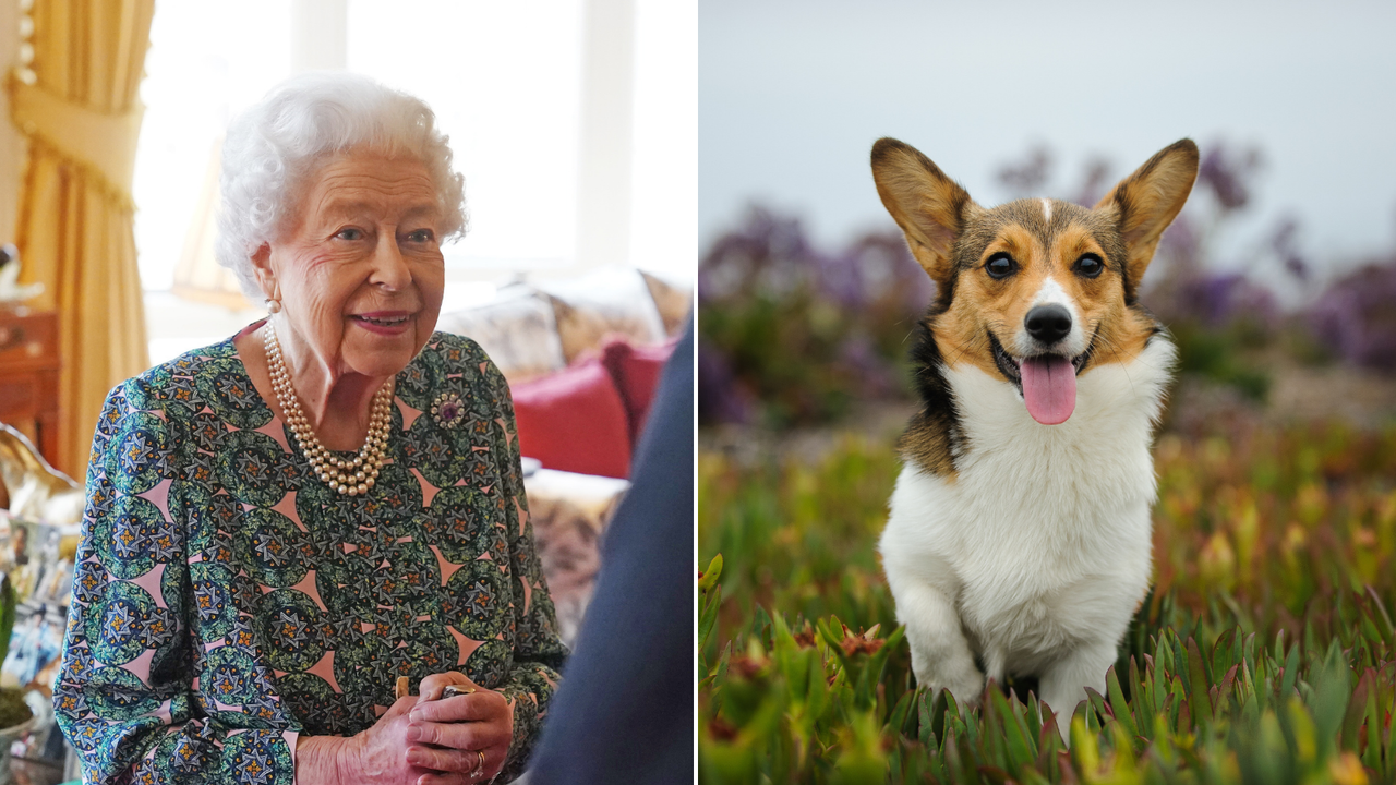 Queen&#039;s love of Corgis 