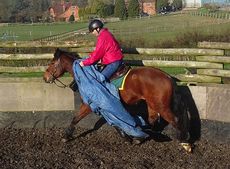Jason Webb desensitising a horse to tarpaulines