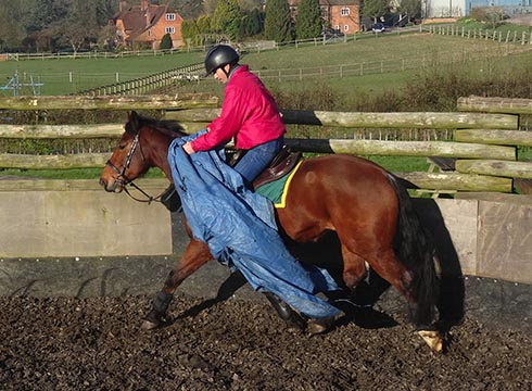 Jason Webb desensitising a horse to tarpaulines
