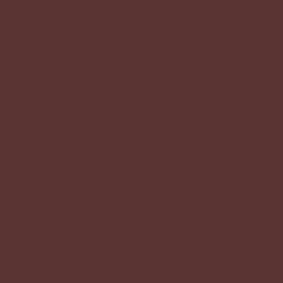 dark auburn paint color sample