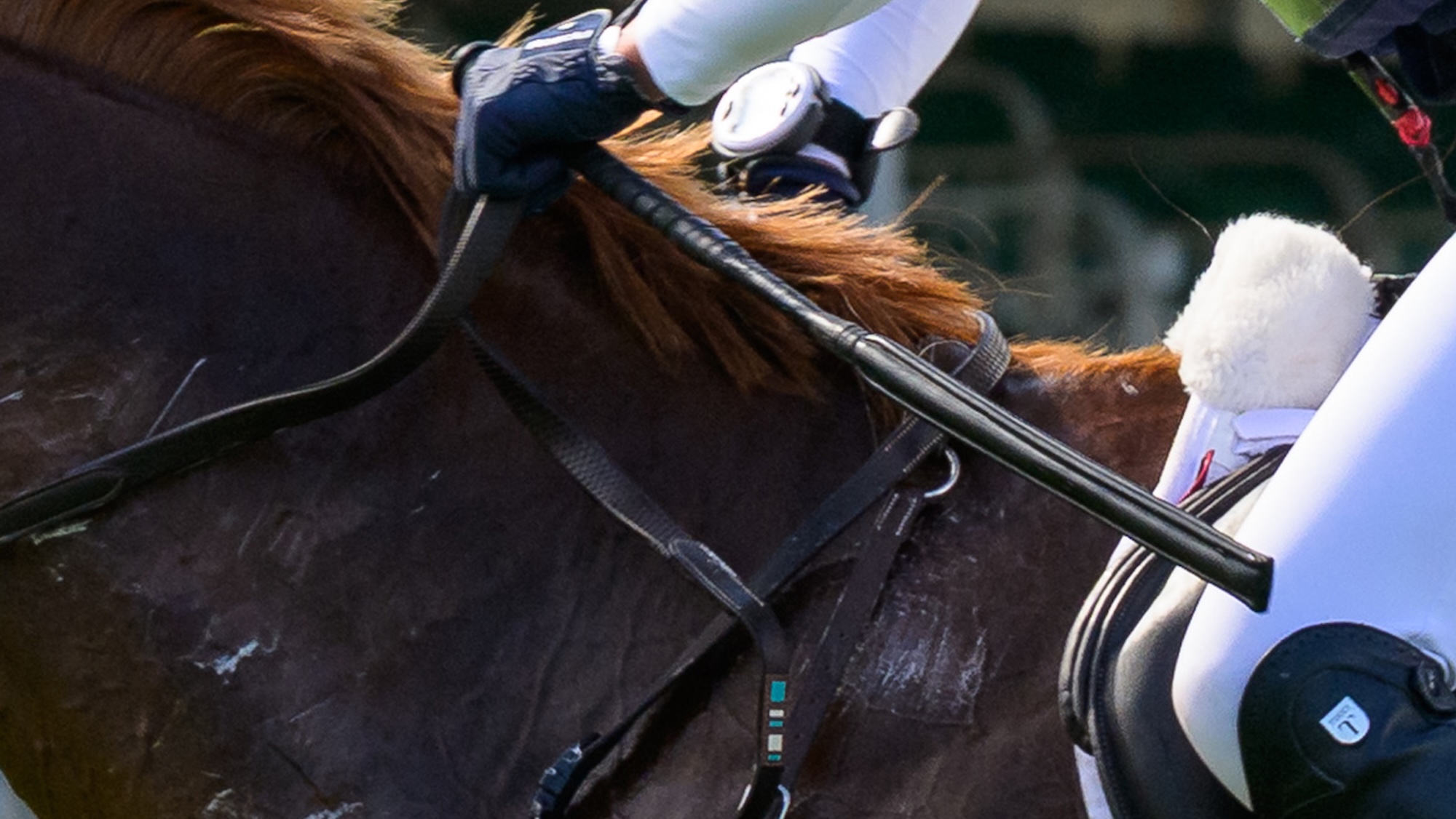 Unidentifiable close up image of a rider holding a whip 