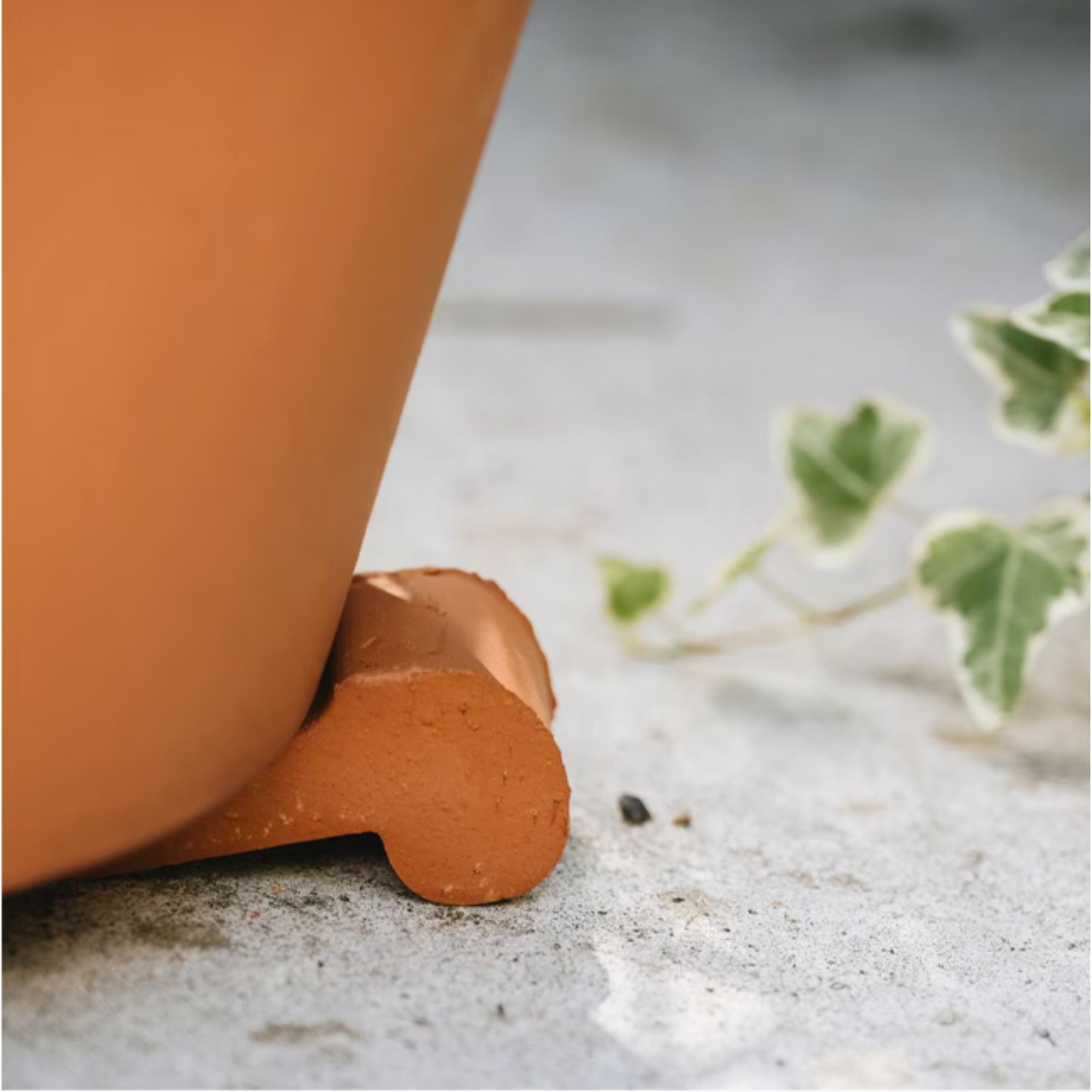RHS Plants pot feet