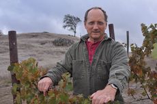 Chris Howell Cain vineyards