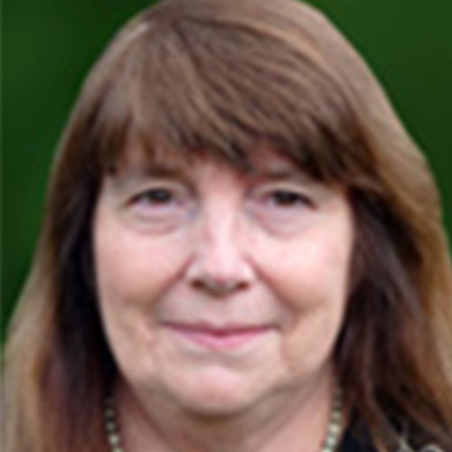 a headshot of Lesley Parkinson