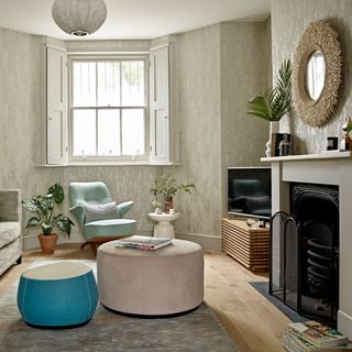 tv room with round mirror and potted plant