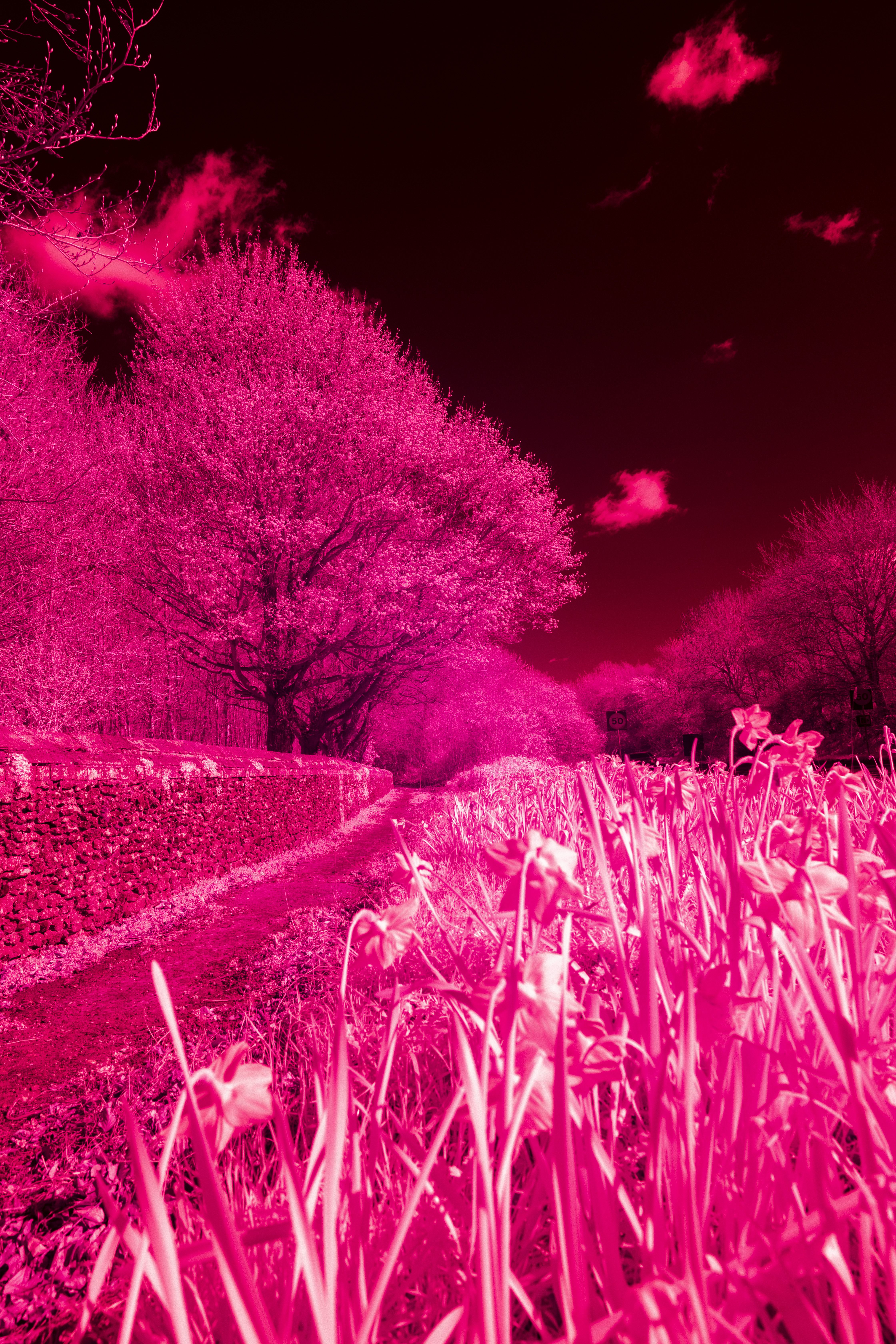 Cokin Nuances Infrared 720 89B