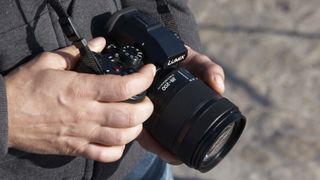 Panasonic Lumix S 28-200mm lens attached to a camera and held in a pair of hands