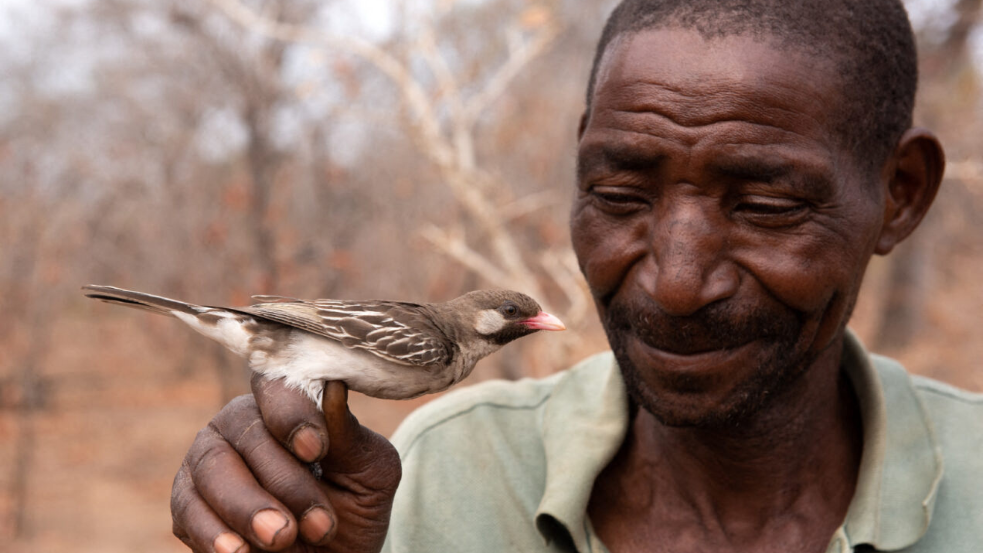 Man holding a honeyguide bird in nature reserve