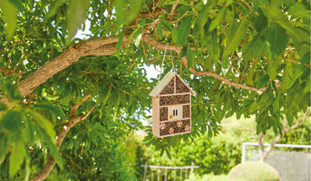 Lidl insect hotel 