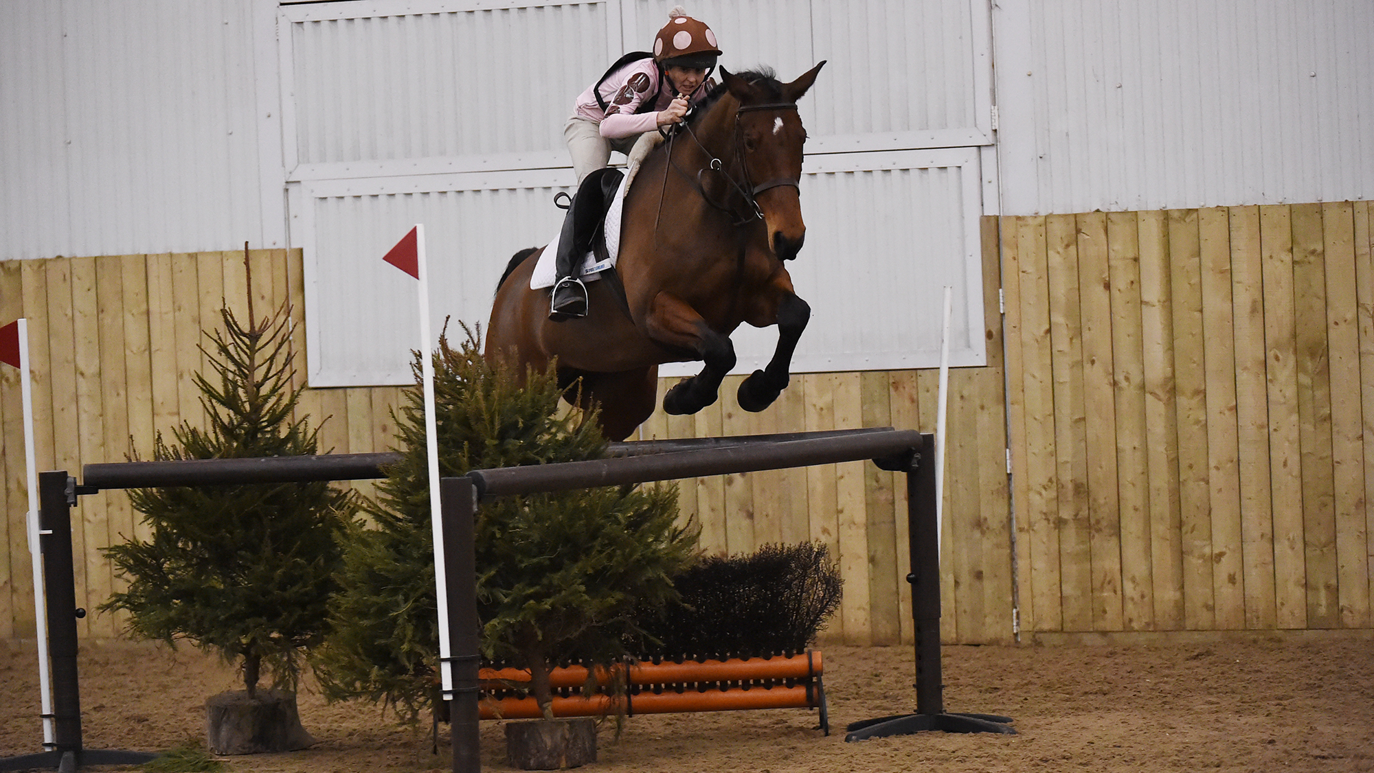 Southerly Roberts riding Tinx at the final of one of British Eventing&amp;rsquo;s previous arena eventing series, JAS (Jumping and Style), at Hartpury College.
