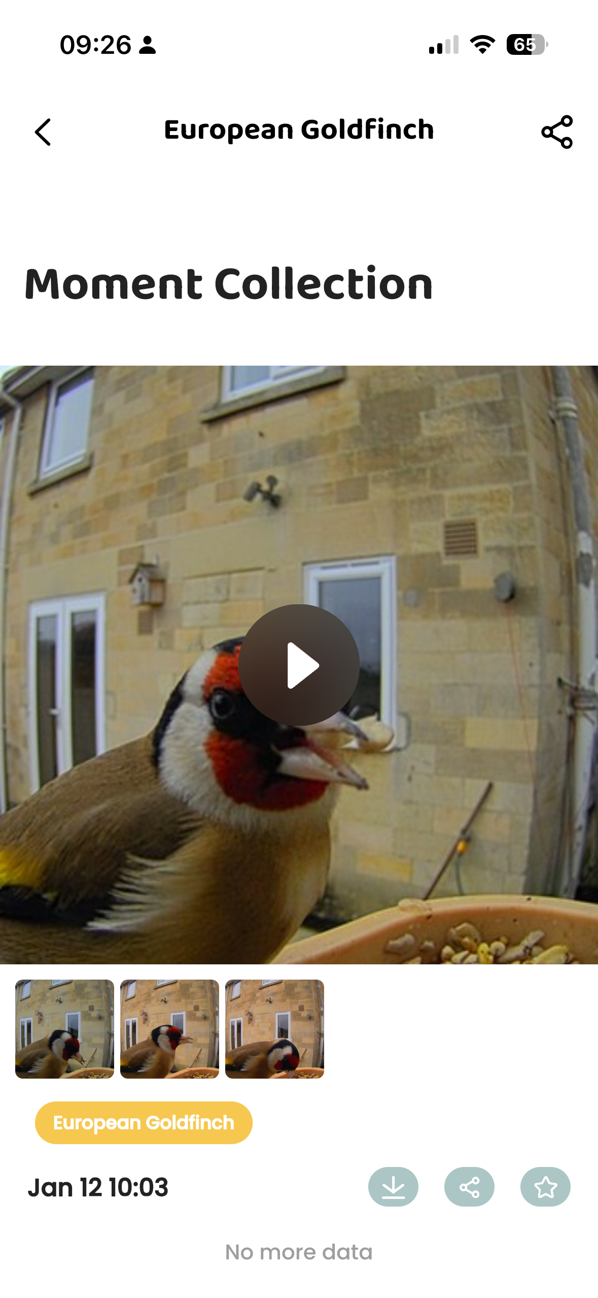 Screenshots from the Birdfy Rookie feeder