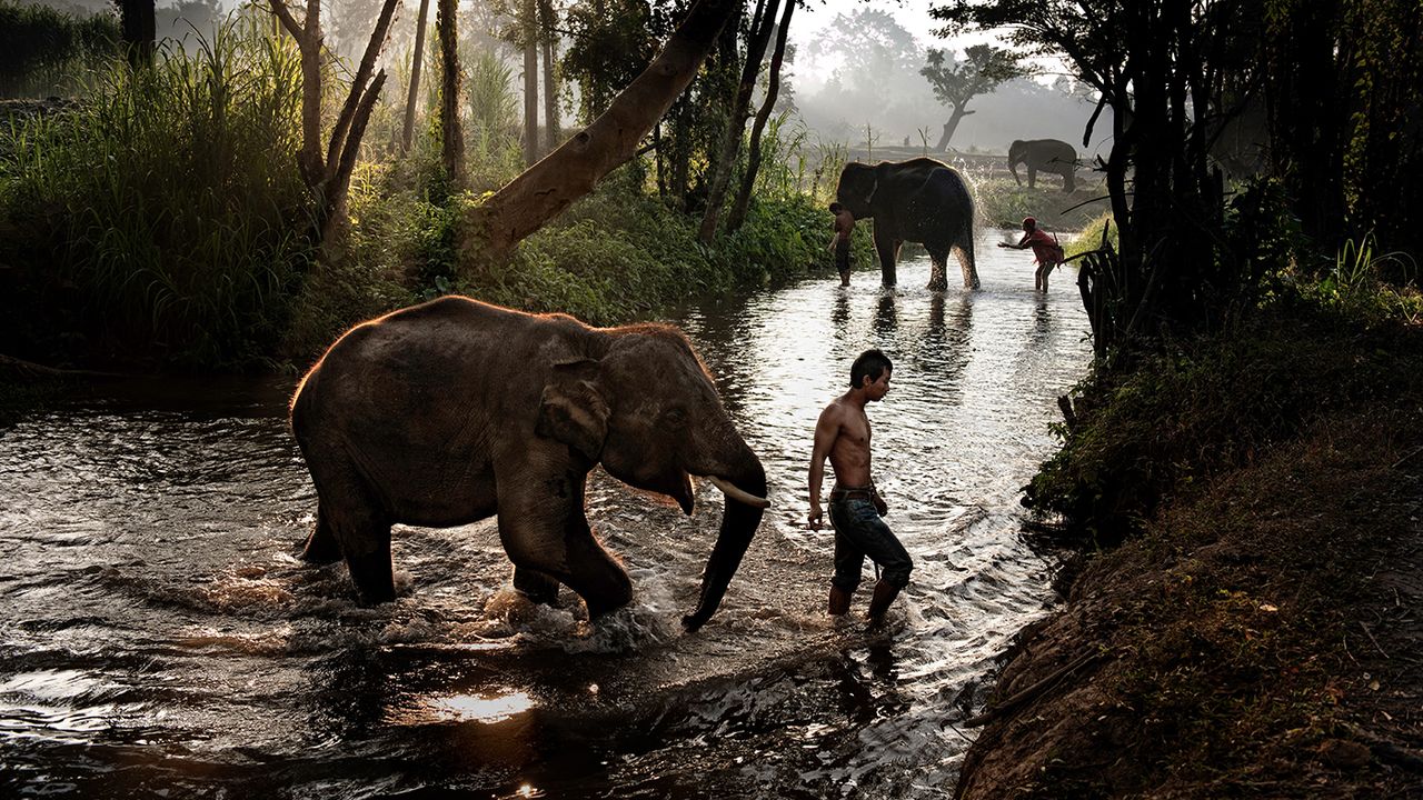 Thailand. 2010. Boy and elephant crossing a stream.