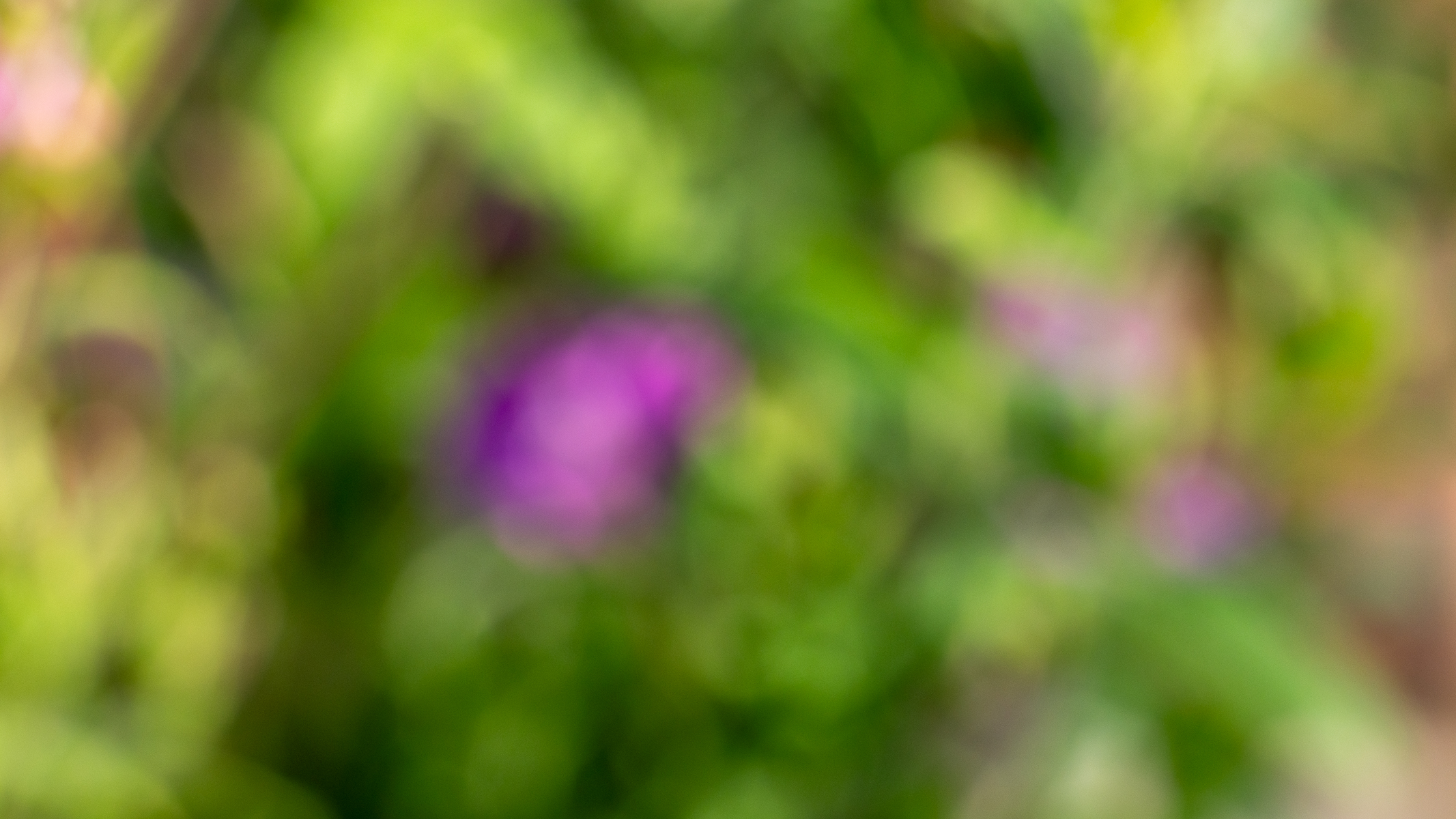 macro
