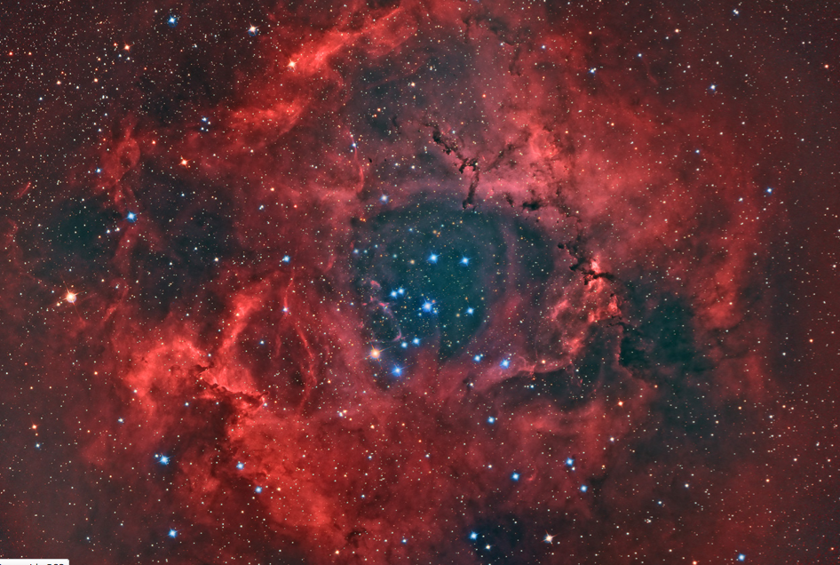 Rosette Nebula Blooms In Amazing Stargazer Photo | Space