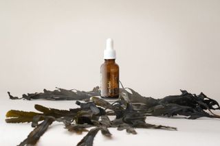 Haeckles Rosehip + Seaweed Suspension oil