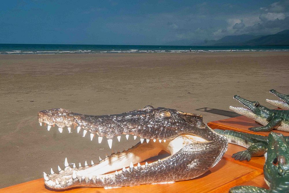 The Crocodile Trophy.