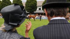 The view looking over judges&rsquo; shoulders during a hunter class at Dublin Horse Show.