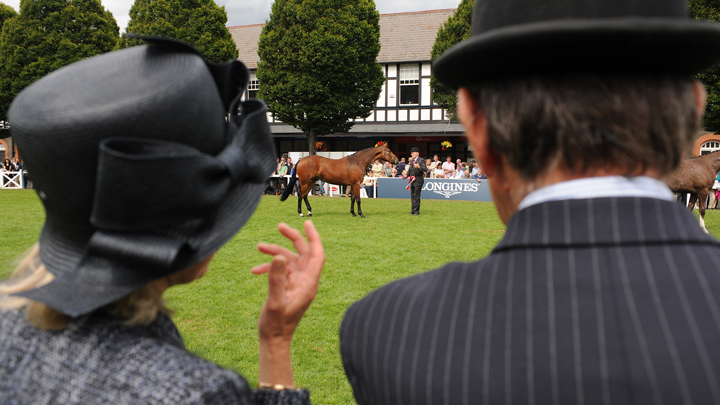 The view looking over judges&rsquo; shoulders during a hunter class at Dublin Horse Show.