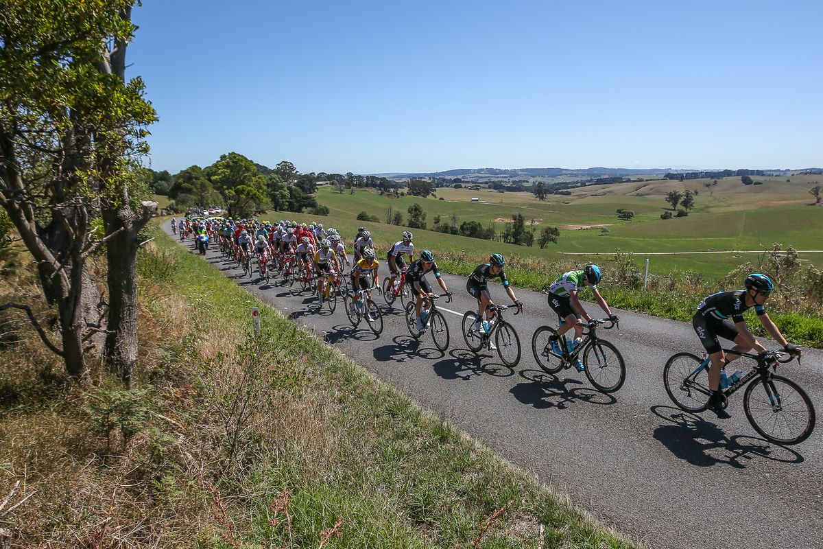 The peloton enjoying the scenery
