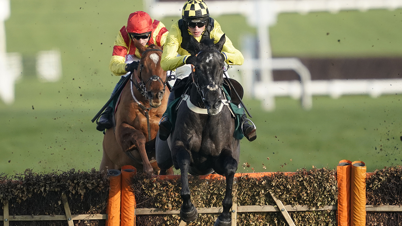 Cheltenham Races