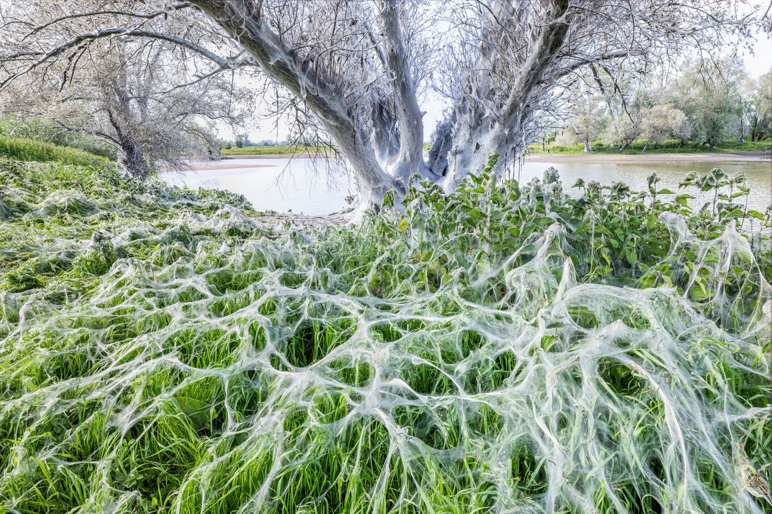 Participant in the GDT European Wildlife Photographer of the Year 2024 competition